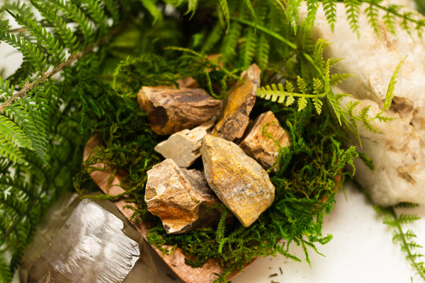 Petrified Wood Crystal - Gemstones